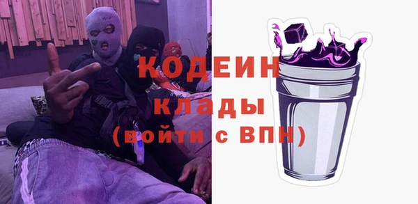 индика Михайловка