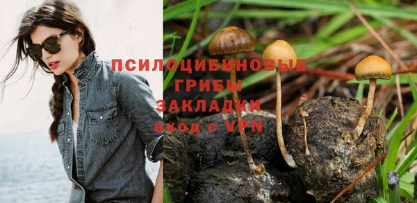 индика Михайловка
