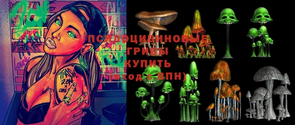 СК Михайлов