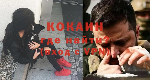 индика Михайловка